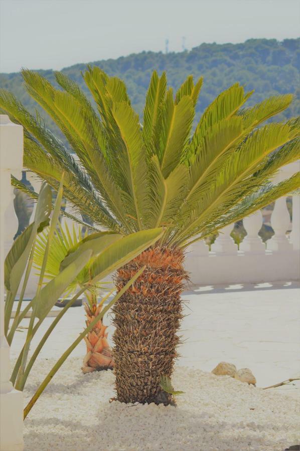 Villa La Terre Des Lauriers Vallauris Buitenkant foto